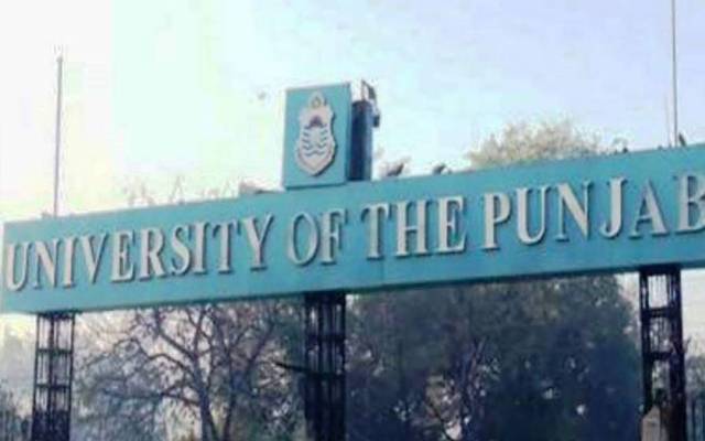 Punjab university
