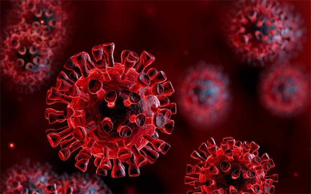 ملک میں کرونا وائرس کے مزید نئے کیسز رپورٹ