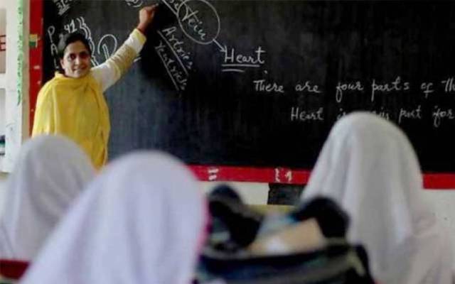 teacher 