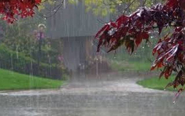 Weather forcast,City42