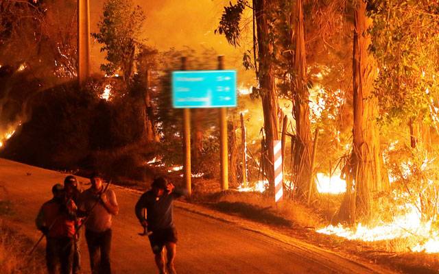  چلی کے جنگلات میں آگ لگ گئی، 23 افراد ہلاک، سینکڑوں زخمی