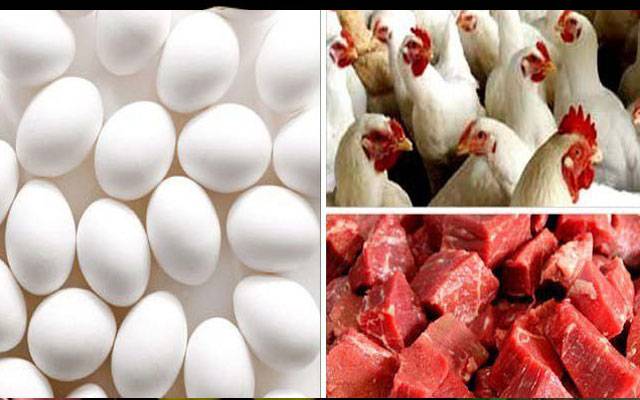 آج کے گوشت اور انڈوں کے ریٹس -بدھ 08فروری ،2023
