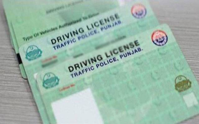 Driving license,City42