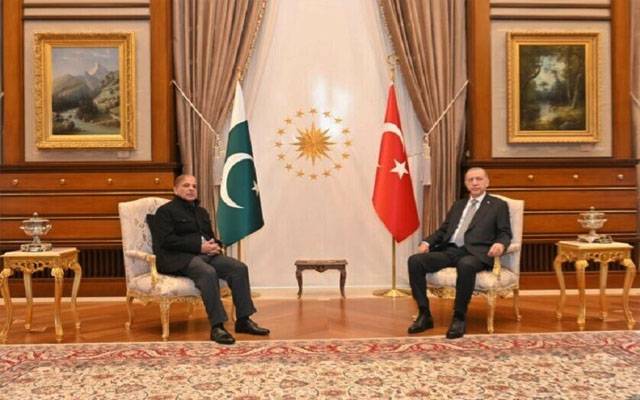 وزیراعظم کی ترک صدر سے ملاقات،زلزلے سے جانی ومالی نقصان پر اظہارافسوس