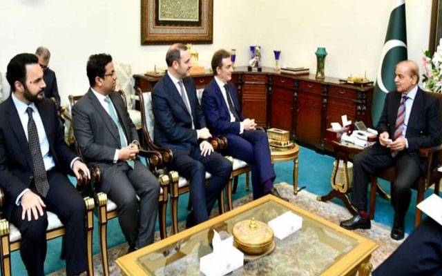 Ruthchild and company,delegation meeting,Pm Shahbaz sharif,City42