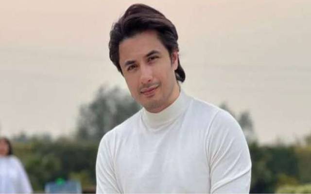 معروف گلوکارعلی ظفر کا حکومت کو اہم مشورہ
