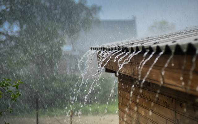 rain 