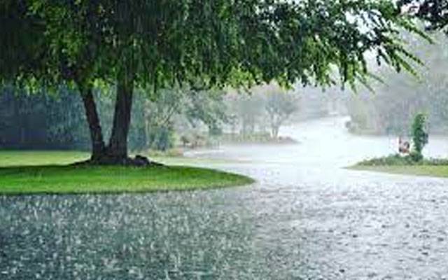 Weather forcast,City42