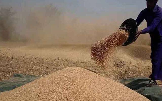 Wheat,Price,IMF,Pakistan,Govt