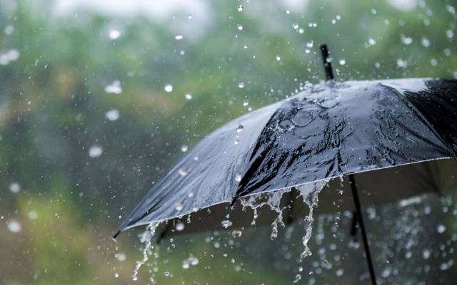 rain 