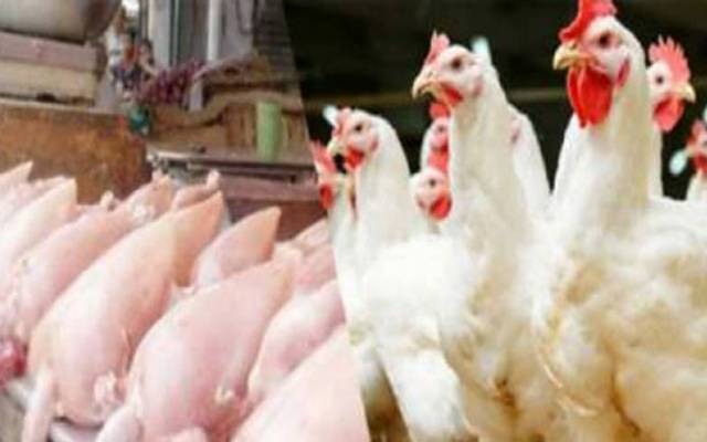 عوام کیلئے خوشخبری، برائلر کی قیمت میں حیران کن کمی