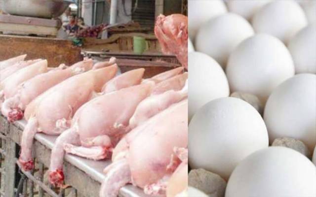 آج کے گوشت اور انڈوں کے ریٹس -بدھ 29 مارچ ،2023