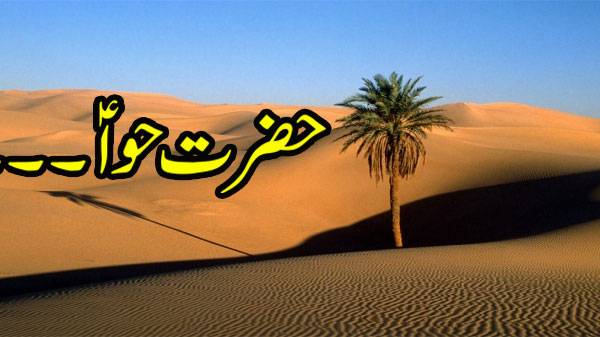 حضرت حواؑ کی پیدائش کب ہوئی ؟ انہیں حضرت آدمؑ کی پسلی سے پیدا کیا گیا یا نہیں ؟