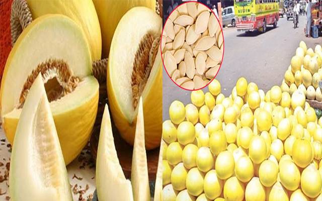 خربوزے کے بیج کے حیرت انگیز فوائد