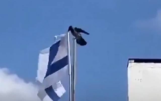 پرندے نے اسرائیلی پرچم اتار کر نیچے پھینک دیا، ویڈیو وائرل