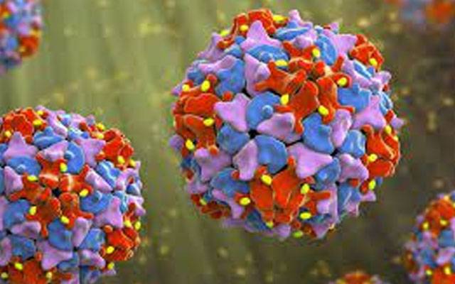 Polio,Virus,City42