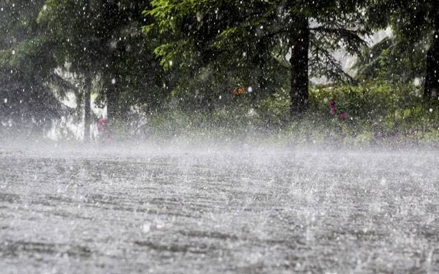 Rain,City42