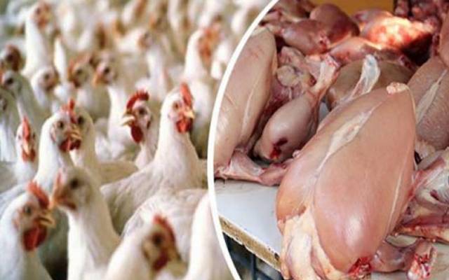 برائلر گوشت کی قیمت میں معمولی کمی 