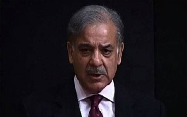 Shahbaz Sharif, London, Nawaz Sharif, Maryam Aurangzaib, Islamabad, City42 