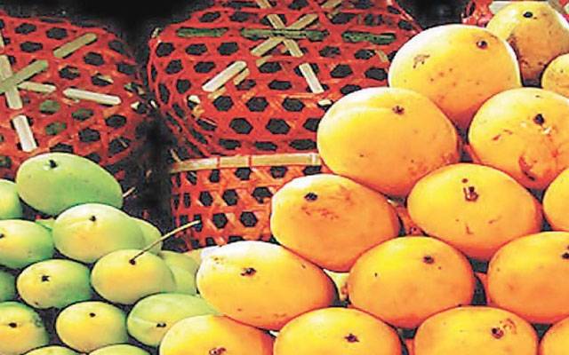 Mango, health Benefits,City42