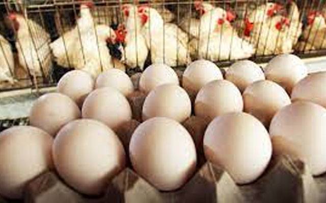 آج کے گوشت اور انڈوں کے ریٹس -بدھ 24 مئی،2023