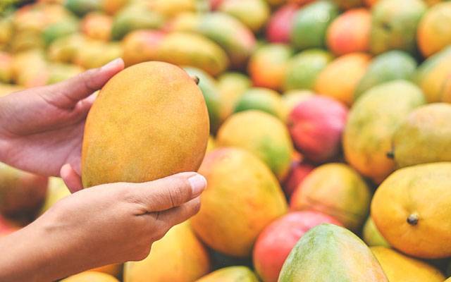 Mango,fruit,City42