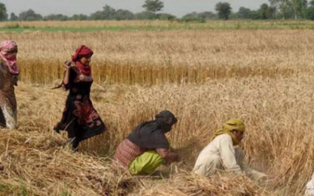 زرعی صنعتوں کے قیام پر ٹیکس مراعات کا اعلان