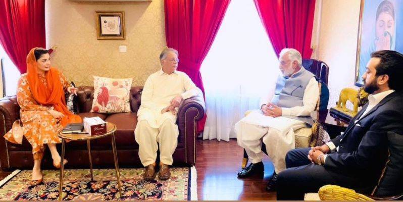 Maryam Nawaz Meetings with politicians. City42