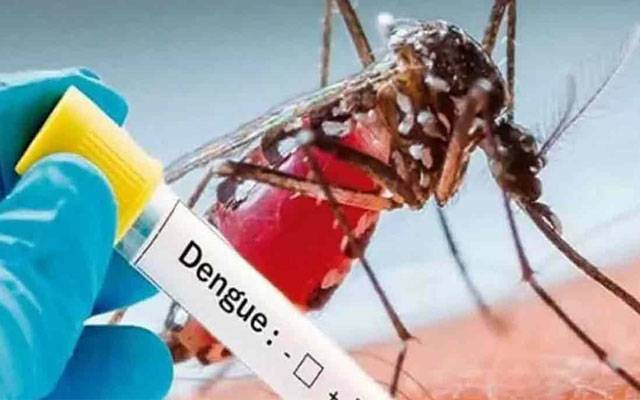  15 جون کو پنجاب بھر کےسکولوں میں ڈینگی سے تدارک کا دن منانے کا اعلان 