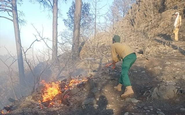 مارگلہ ہلز کی پہاڑیوں پر آگ جلانا، باربی کیو ، کچرا پھیلانے پر پابندی