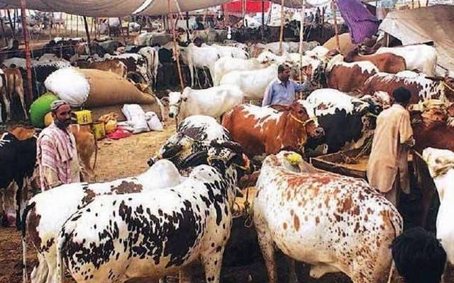 شہر میں غیر قانونی منڈیوں کی روک تھام کے لیے دفعہ 144 نافذ 