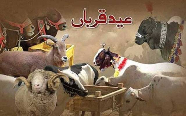 پاکستان میں آج عیدالاضحیٰ مذہبی عقیدت و احترام سے منائی جارہی ہے
