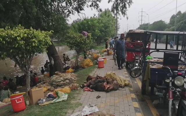  آلائشیں نہر میں پھینکنے پر 7 افراد گرفتار