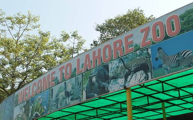  صوبائی وزراء کا چڑیا گھر میں دستیاب سہولتوں اور مسائل کا جائزہ