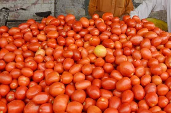  ٹماٹر کی قیمت میں حیرت انگیز اضافہ
