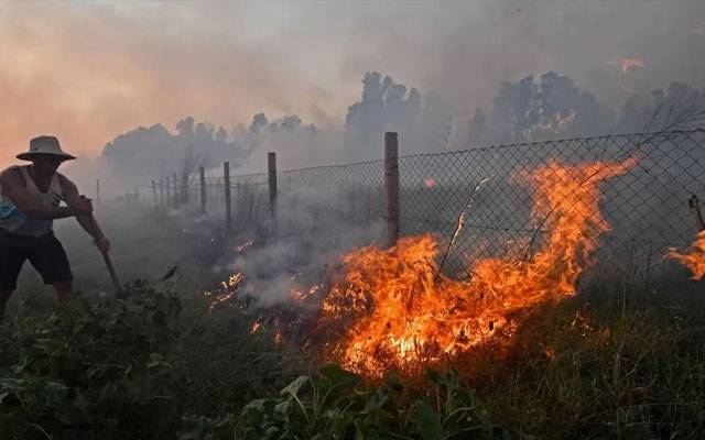 Algeria wildfires: Dozens killed, thousands evacuated, City42 