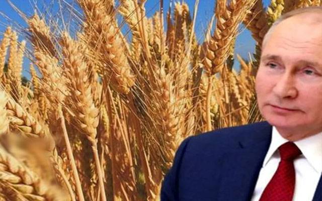  روسی صدر کا 6 غریب افریقی ممالک کو مفت اناج دینے کا اعلان