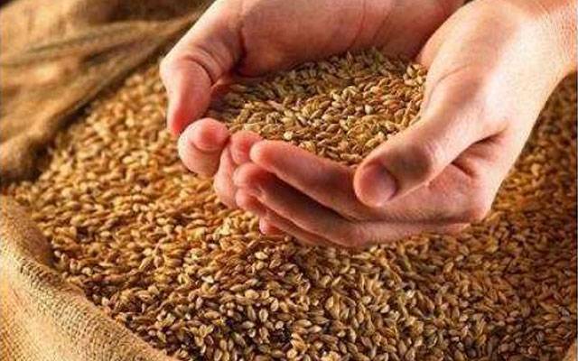 لاہور میں گندم کی قیمت میں اضافہ 