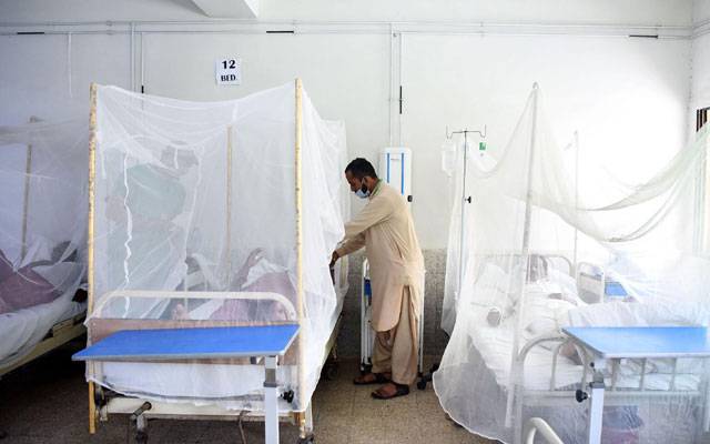 Dengue patients,Hospitals,City42