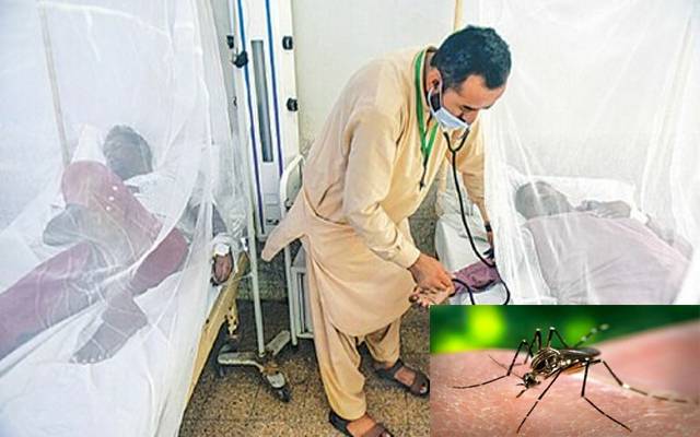  خبر دار،شہر میں ڈینگی وائرس نے پھر سر اٹھا لیا 