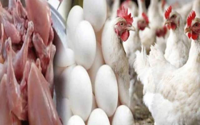 برائلر مرغی کے گوشت کی قیمت میں اضافہ 