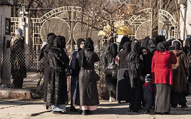 Afghan Taliban, Kabul, Dubai, Education sponsorship, women's education