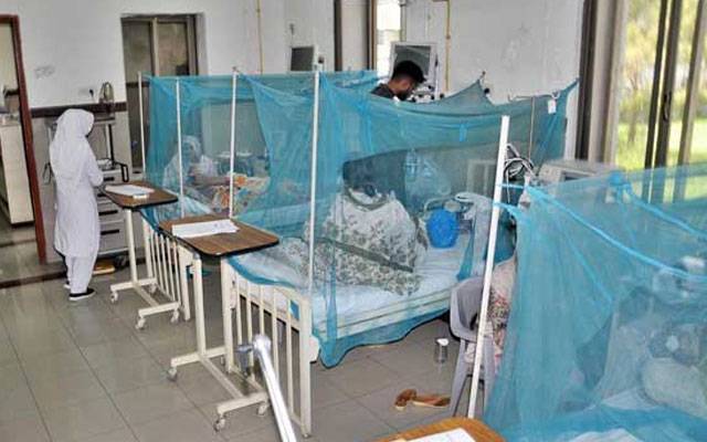 ڈینگی کے ڈنگ میں تیزی آ گئی، شہر میں18نئے مریض رپورٹ