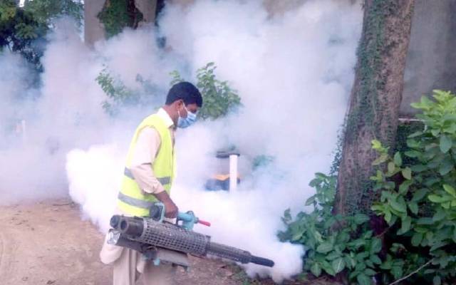 انسداد ڈینگی مہم، ڈی سی لاہور کا دورہ, ٹیموں کی کارکردگی کو چیک کیا 