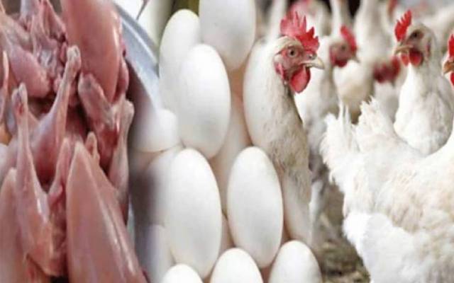 آج کے گوشت اور انڈوں کے ریٹس -منگل 29اگست،2023