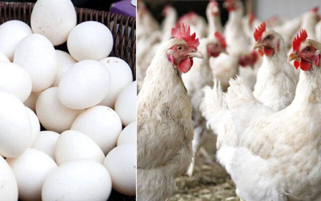 آج کے گوشت اور انڈوں کے ریٹس -بدھ 30اگست،2023