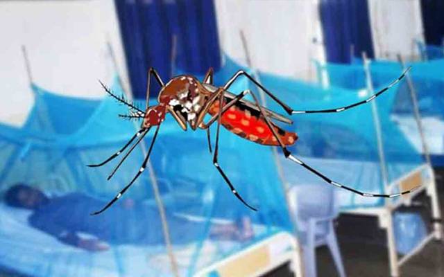 ڈینگی کےحملوں میں شدت ، مزید 30 مریض ہسپتالوں میں ایڈمٹ 
