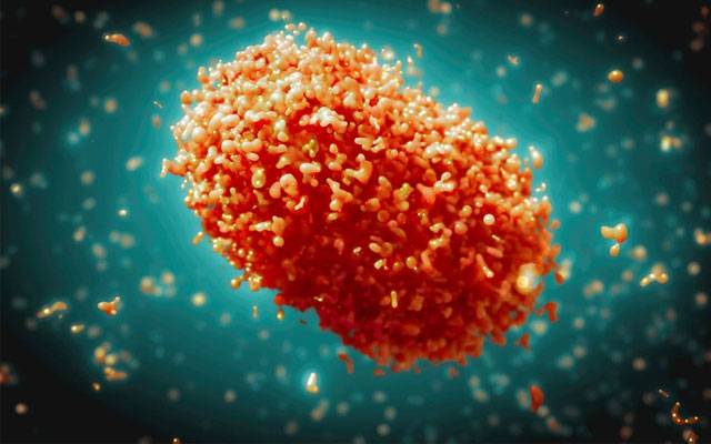 City42, monkeypox virus detected, Karachi Airport, Lebia returned passengers carried monkeypox virus, Virus alert, Pakistan