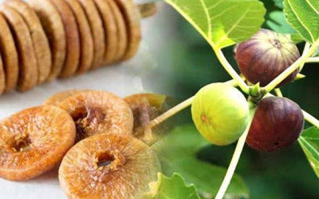 انجیر کھانے کے حیرت انگیز طبی فوائد 