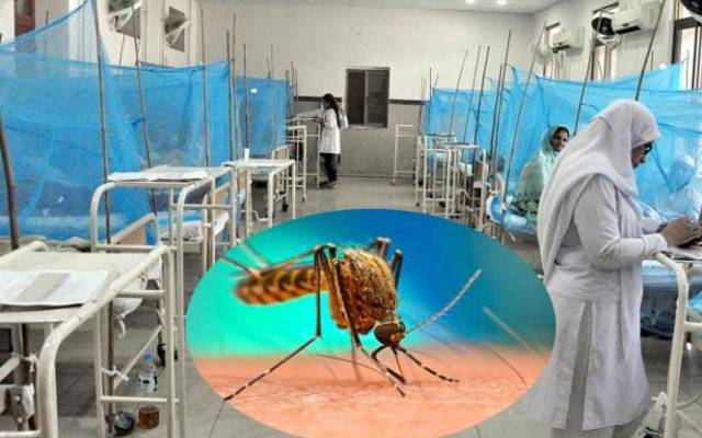 ڈینگی وائرس کے حملے، مثبت کیسز کی تعداد 525 تک جاپہنچی 